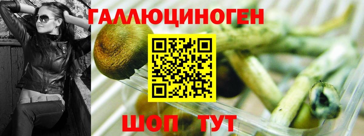 Малоярославец  дарнет шоп  Псилоцибиновые грибы мухоморы  Вход с VPN  Псилоцибиновые грибы Psilocybine cubensis 
